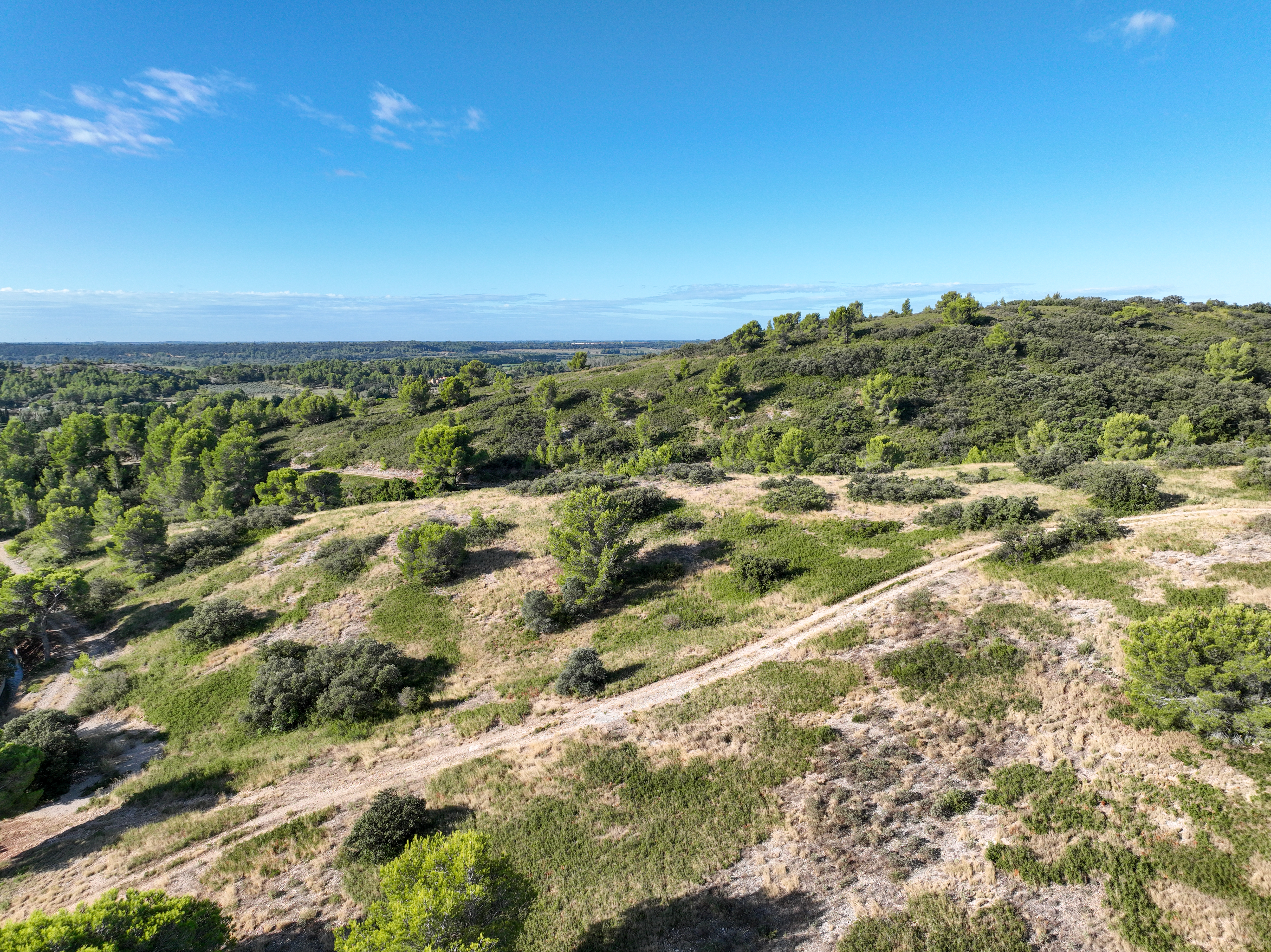 Paysage typique des Alpilles à Paradou