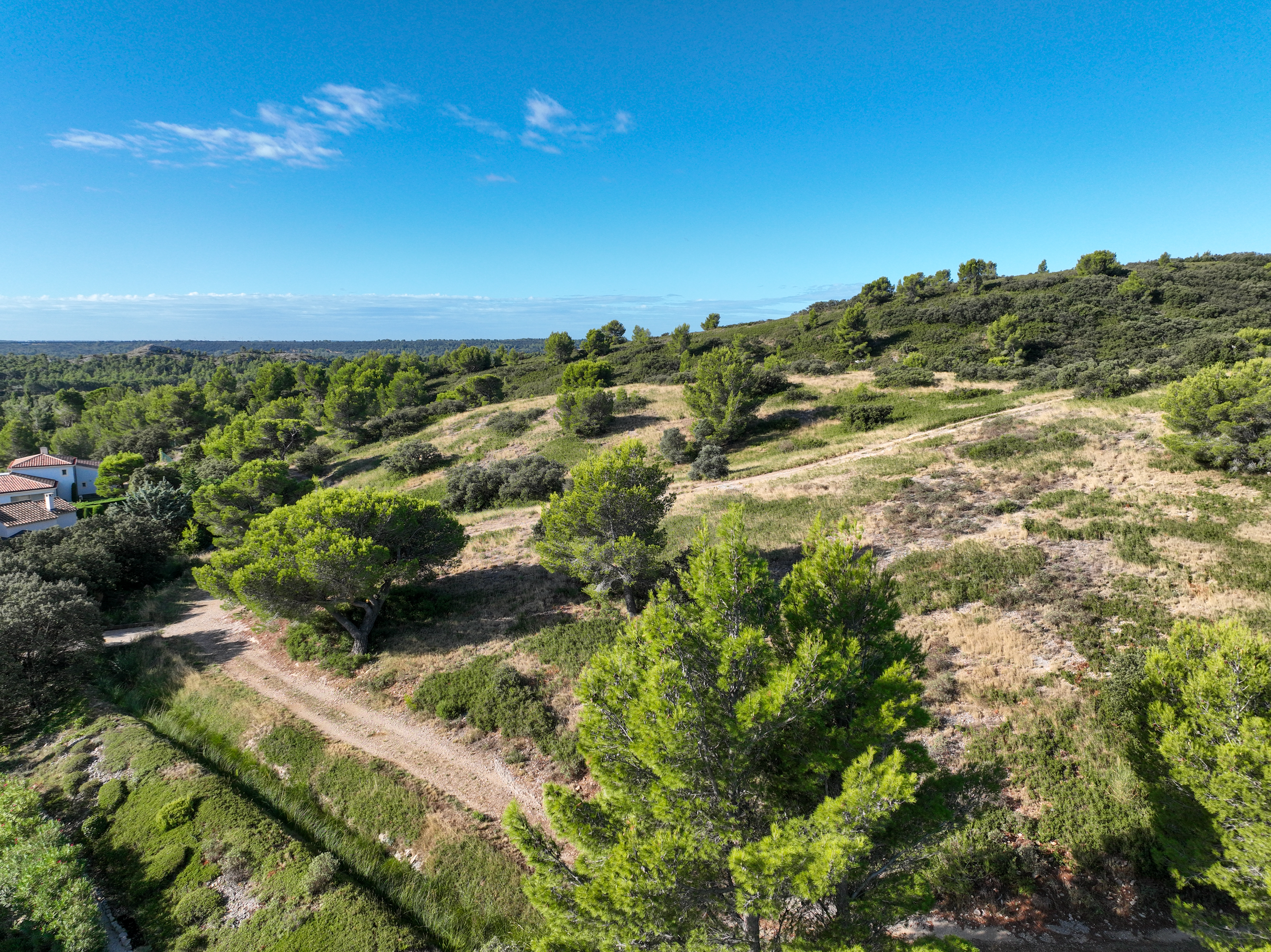 Paysage des Alpilles pour une balade derrière la villa Olivia